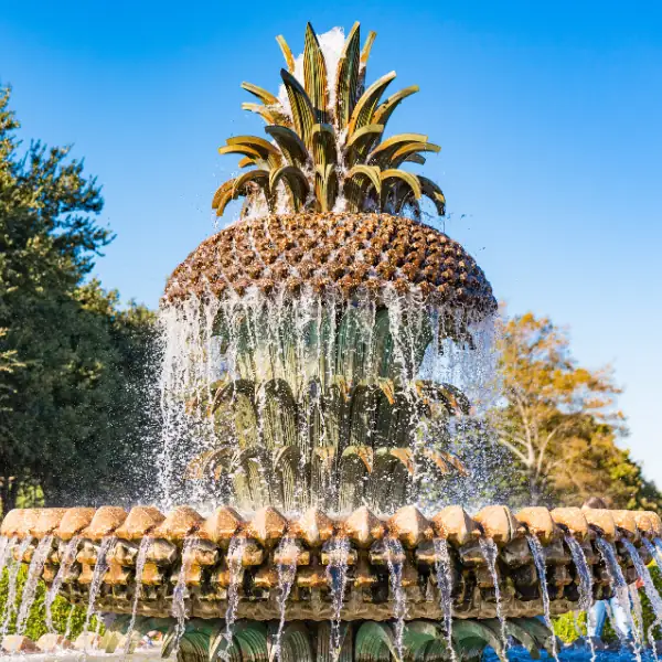 Pineapple was a symbol of hospitality Pineapple Love